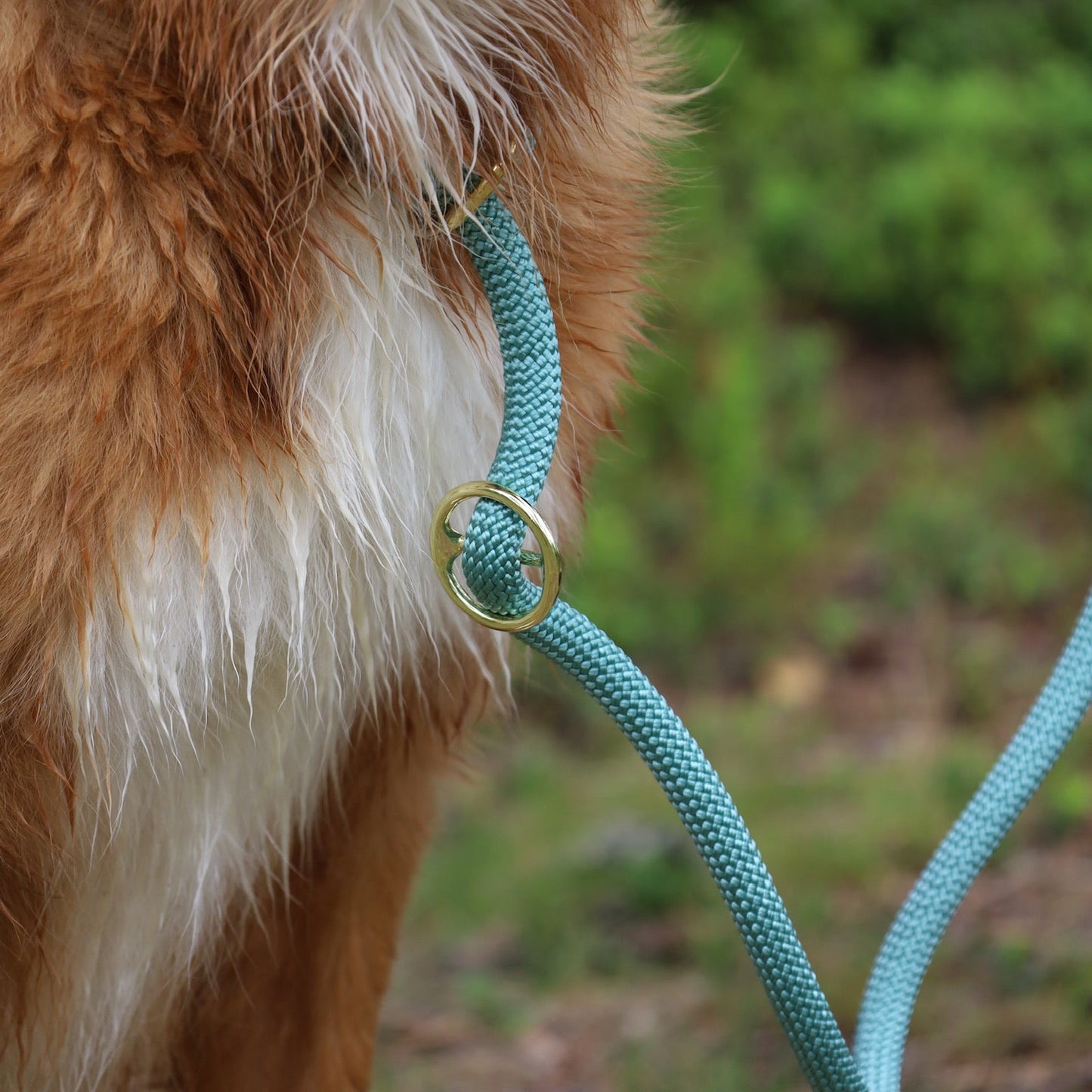 Retrieverkoppel Viddjá – Sea Green 10mm