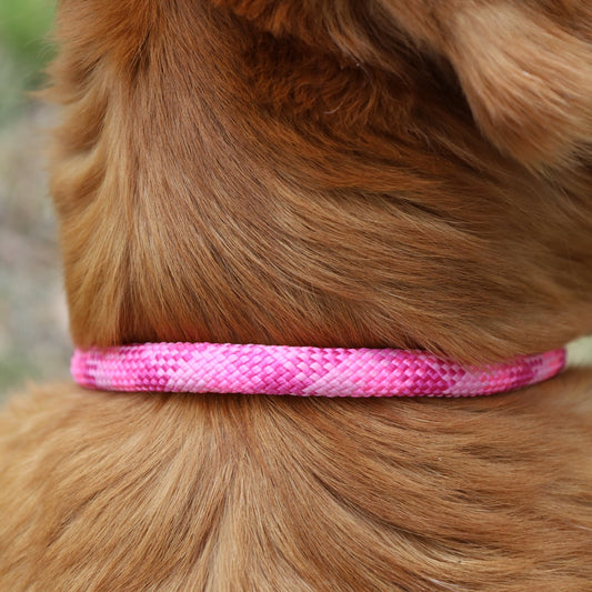 Retrieverkoppel Viddjá – Wild Fuchsia 10mm