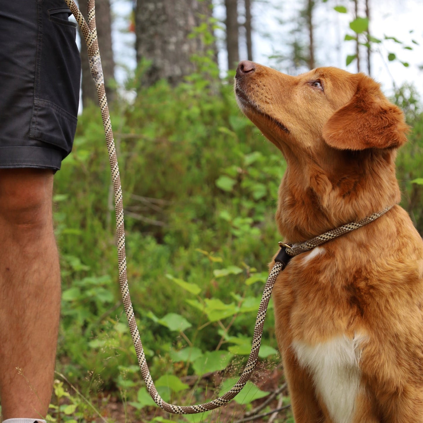 Retrieverkoppel Viddjá – Muddy Buddy 8mm