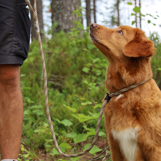 Retrieverkoppel Viddjá – Muddy Buddy 10mm