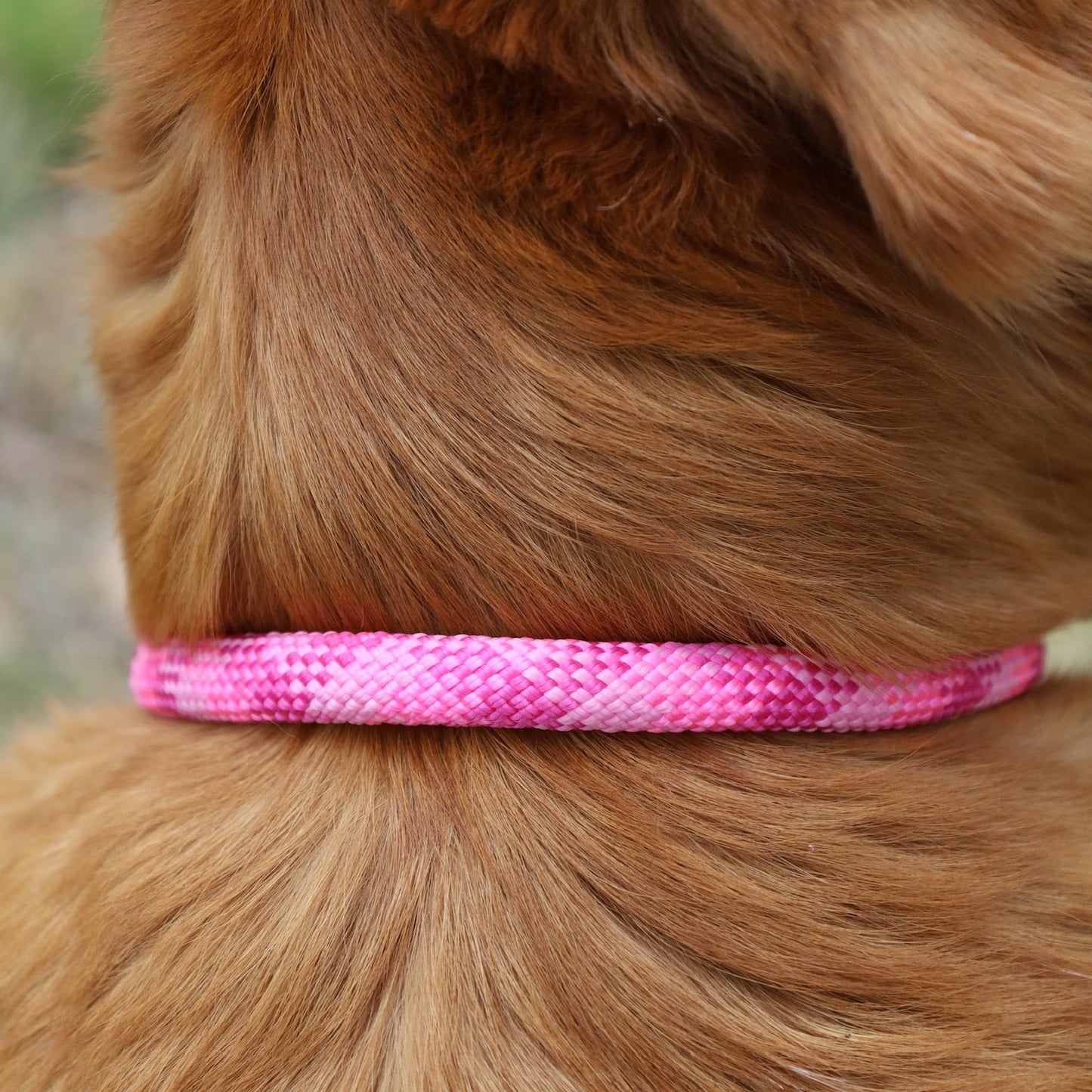 Retrieverkoppel Viddjá – Wild Fuchsia 10mm